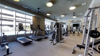 This contemporary fitness center offers a comprehensive workout environment designed to accommodate a wide range of exercise needs. The space is thoughtfully laid out across a single floor, providing an open and unobstructed training area that feels both spacious and functional.

Large floor-to-ceiling windows line one side of the room, flooding the interior with natural light and offering views of the surrounding exterior — creating an energizing atmosphere for workouts. The ceiling features a combination of recessed lighting and flush-mount circular fixtures, supplemented by ceiling fans that ensure comfortable airflow throughout the space.

The cardio section is well-appointed with a row of treadmills and elliptical machines, each equipped with individual display screens. Strength training is equally well-represented, with a multi-station cable machine, free weights, and additional resistance equipment positioned throughout the floor. Full-length mirrors line one wall, enhancing the sense of depth and allowing users to monitor their form during exercise.

A wall-mounted flat-screen television adds an entertainment element to the space. The flooring consists of a durable, textured surface suited for high-traffic athletic use. The overall design is clean and modern, with a neutral color palette that contributes to a focused and professional fitness environment.