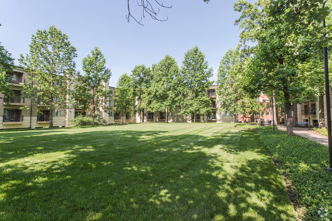 Common Area - Village at Vanderbilt