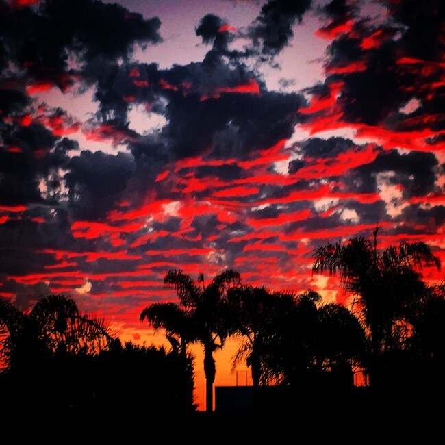 Building Photo - 2311 4th St