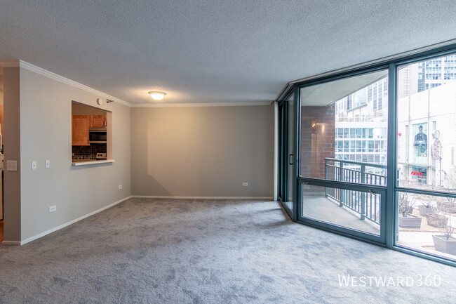 Building Photo - 480 N McClurg Ct