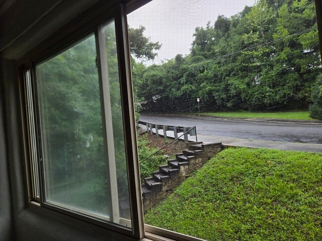 View from living room window - 111 Phillips Ct