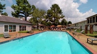 This amenity area features a large outdoor swimming pool with clear turquoise water, set within a spacious pool deck finished in brick-toned pavers. The deck is furnished with multiple lounge chairs and sun loungers positioned along the pool's perimeter, along with colorful patio umbrellas providing shaded seating areas for relaxation. Tall, mature pine trees frame the space, offering a natural backdrop and partial shade throughout the day. A fenced perimeter ensures privacy and security for the area.

Adjacent to the pool is a dedicated fitness center, accessible through a glass-paneled entry door clearly labeled "Fitness Center." The gym features large windows that allow natural light to flood the interior and offer direct views of the pool area. Inside, the space is equipped with a row of treadmills, weight training equipment, free weights, and exercise balls, all set on patterned carpet flooring. A small tiled entryway connects the fitness center to the outdoor amenity space, providing a clean transition between the indoor and outdoor environments. Together, these amenities form a well-rounded recreational area designed for both activity and leisure.