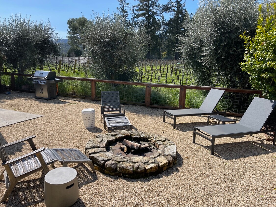 outdoor space- backyard - 1077 Valley View St