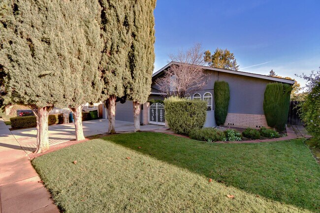 Foto del edificio - Single Family Home in the Heart of Santa Clara