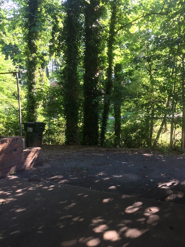 front overlooks woods - 1708 Solomon Rd