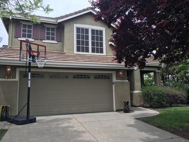 Building Photo - 248 Stetson Dr