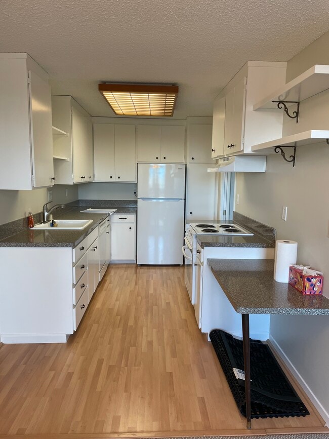 Kitchen - 1700 San Carlos Ave