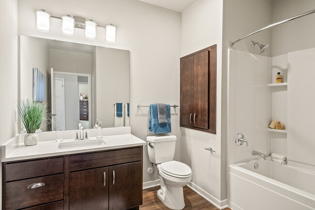 Drexel Ridge Apartments Bathroom - Drexel Ridge Apartments