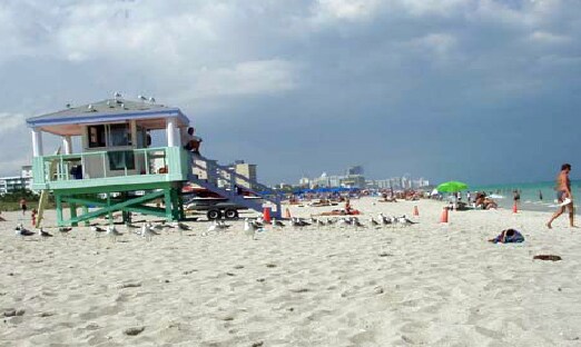 Vista de la playa - South Beach - 4 Town Homes