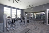 Located at 1100 Ponderosa Dr in Petaluma, California, this well-appointed fitness center offers a comprehensive workout environment designed for both cardio and strength training. The single-level space is bathed in natural light through expansive floor-to-ceiling windows that frame views of the surrounding outdoor area, including mature trees and a pool deck with palm trees, creating an energizing atmosphere for exercise.

The cardio section is equipped with multiple elliptical machines, stair climbers, and treadmills, all positioned to take advantage of the generous window views. A dedicated strength training area features a Matrix multi-functional cable machine, a full dumbbell rack, weight benches, and a variety of selectorized resistance machines to support a complete full-body workout routine.

The interior design strikes a bold, contemporary tone with dark gray accent walls, herringbone-patterned carpet flooring, and oversized ceiling fans. A striking full-wall mural depicting an outdoor adventure scene — featuring a kayaker amid warm golden tones — adds a dynamic visual focal point throughout the space. Full-length mirrors along one wall visually expand the room while allowing users to monitor their form. Multiple wall-mounted flat-screen televisions are strategically placed throughout, enhancing the workout experience. The space is well-ventilated and thoughtfully laid out to accommodate a variety of fitness needs.
