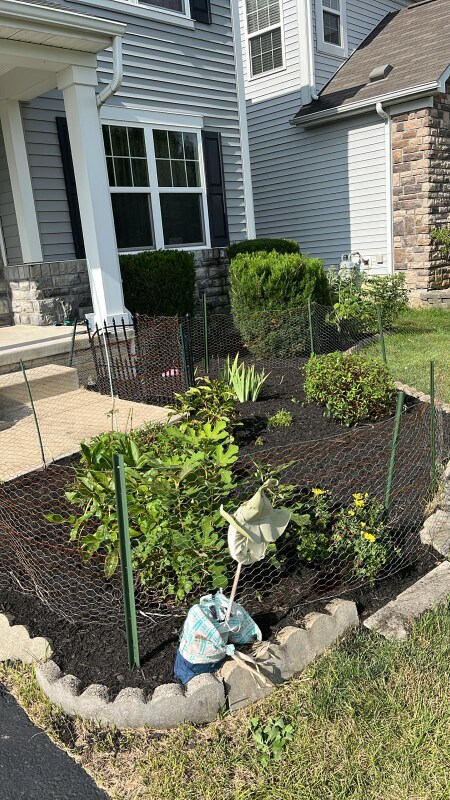 Foto del edificio - 270 McElhinny Ln