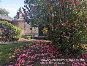 Building Photo - 4060 Island Crest Way