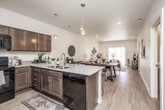 This single-story residence is designed with an open-concept floor plan that promotes a seamless flow between the kitchen, dining, and living areas. The kitchen serves as a central hub, showcasing rich dark-toned cabinetry, granite countertops, and a generously sized peninsula island with a double sink and seating for bar stools. Pendant lighting overhead adds a contemporary touch, while black appliances provide a cohesive, modern aesthetic. The adjacent living area offers a comfortable, well-proportioned space, and the dining zone transitions naturally between both rooms.

The bedrooms are carpeted and filled with natural light from large windows fitted with blinds. Ceiling fans are present in select rooms, and at least one flexible room functions well as a home office or den. A spacious walk-in closet features wire shelving systems for organized storage. Both bathrooms follow a consistent design language with dark wood vanity cabinetry, granite countertops, and wood-look flooring. One bathroom includes a tub-shower combination. Throughout the residence, neutral walls and light-toned flooring create a clean, cohesive ambiance.
