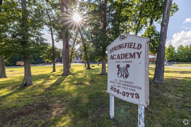 Springfield Academy: Empowering Education for Springfield's Future