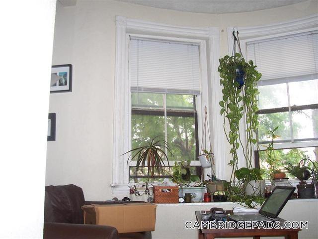 Foto del edificio - 102 Willow St