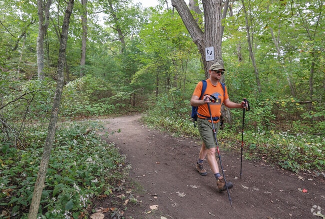 Follow the trails at the Middlesex Fells Reservation in Stoneham.