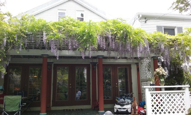 Private deck - 7 Linden Pl