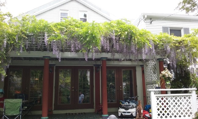 Private deck - 7 Linden Pl Apartments