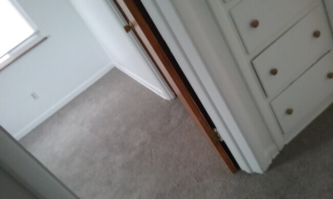 carpet on 2nd floor bedrooms and stairs - 907 Davis Ave.