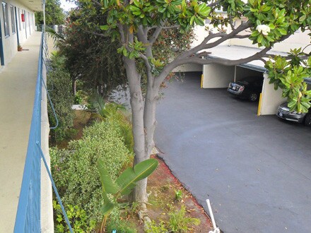 Building Photo - Ocean View Apartments