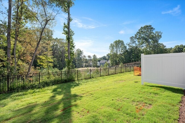 Back Yard with Tree Buffer - 10536 Pleasant Br Dr