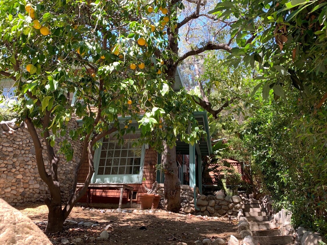 Front with Yard - 2024 1/2 Laurel Canyon Blvd