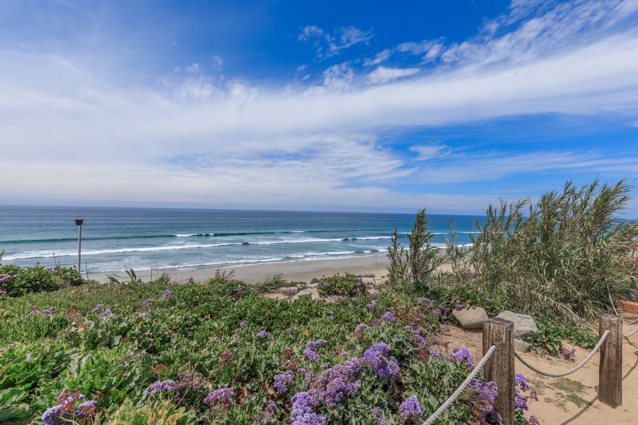 Los Arboles Apartments Apartments in Del Mar, CA