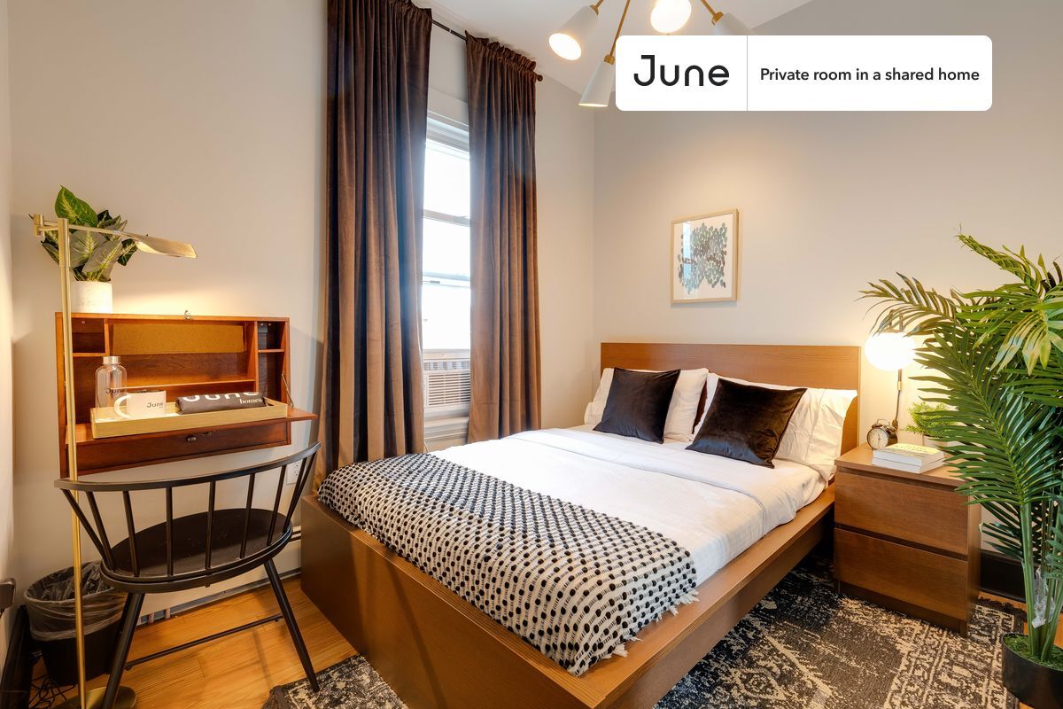 Room in Shared 4 bed/1.5 bath home - Room in Shared 4 bed/1.5 bath home