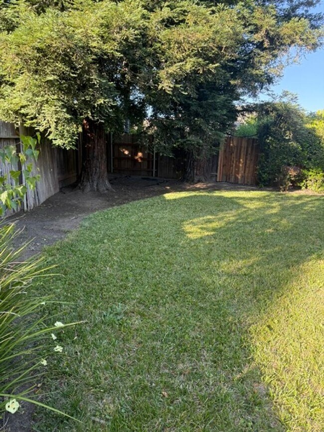 Foto del edificio - Spacious Single Story House in Natomas