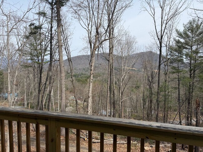 Foto del edificio - East AVL - Wooded Lot, Three Bedrooms