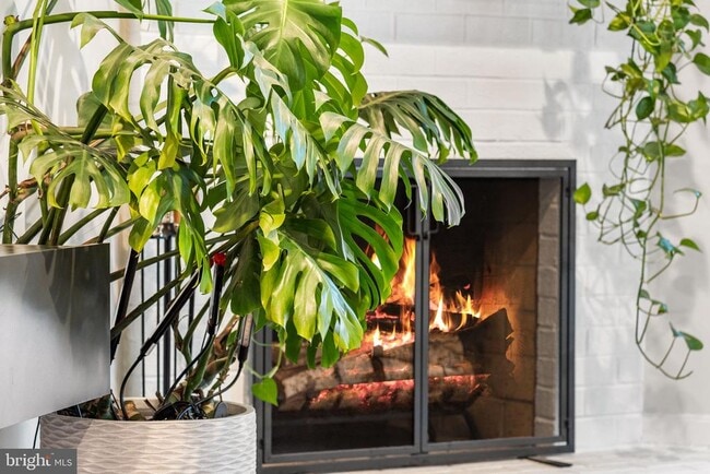 Building Photo - 907 S Rolfe St