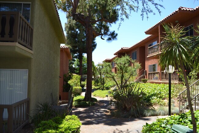 Woodcrest Apartments Torrance Ca Apartments Com Woodcrest Apartments Torrance Ca Apartments Com