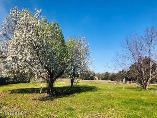 Building Photo - 4 br, 2 bath House - 3225 Whiteley Road