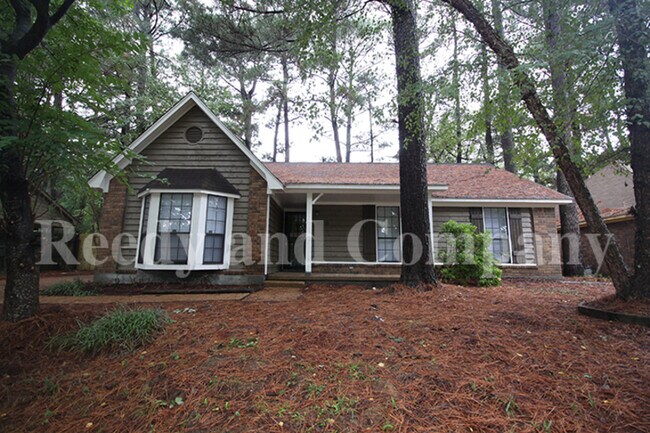 Building Photo - 4523 Sandy Park Dr