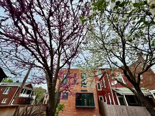 Foto del edificio - 107 Calder St