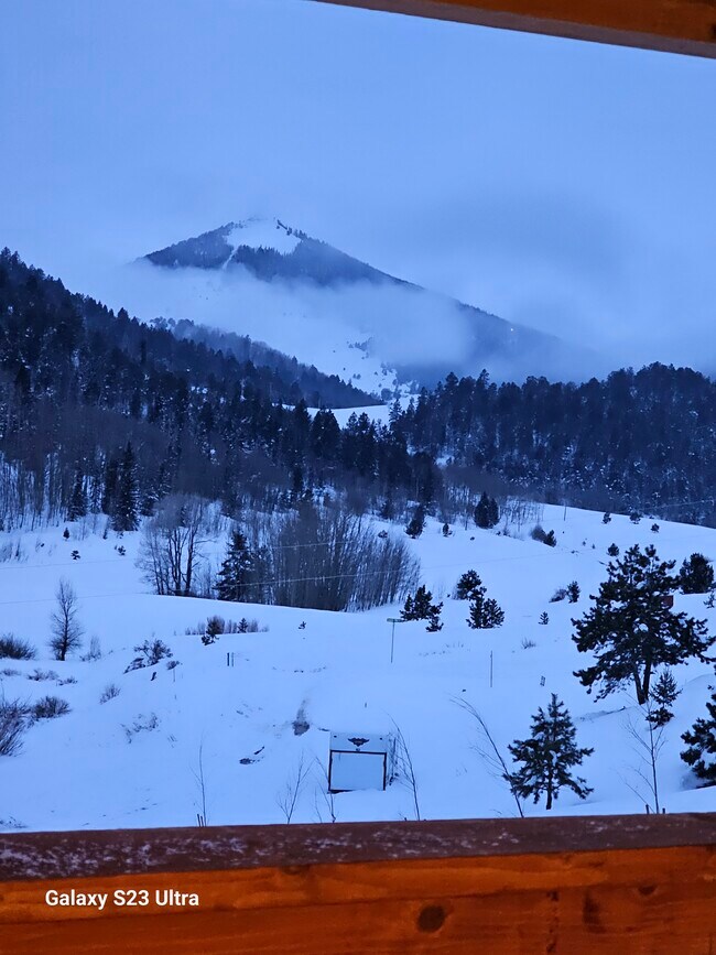 Foto del edificio - 47 Monarch Dr