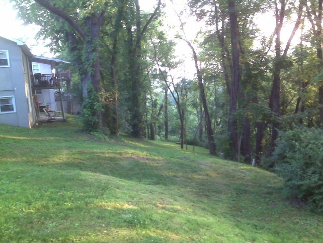 Foto del edificio - 1 br, 1 bath Apartment - 389 Gilmore Street