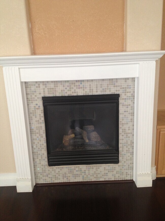 Living Room Chimney - 400 Rick Heinrich Cir
