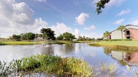 This single-story property is distinguished by its serene outdoor surroundings, centered around a picturesque pond that serves as a natural focal point of the landscape. A decorative fountain rises from the water's surface, adding both visual interest and a sense of calm to the environment. The pond's edges are lined with native aquatic grasses and vegetation, contributing to a naturalistic, Florida-inspired aesthetic.

Mature trees, including tall palms and broad-canopied shade trees, frame the perimeter of the property, providing both privacy and a lush, verdant backdrop. Well-maintained green lawns extend along the water's edge, offering open, accessible outdoor space beneath wide, cloud-dotted skies typical of the Florida climate.

The surrounding landscape reflects a community-oriented design, with boundary walls visible in the distance and additional greenery creating a sense of enclosure and seclusion from the outside. The overall ambiance is peaceful and resort-like, blending natural water features with tropical flora to create an inviting outdoor environment. The property benefits greatly from its proximity to this scenic water feature, which enhances the sense of openness and connection to the natural surroundings throughout the day.