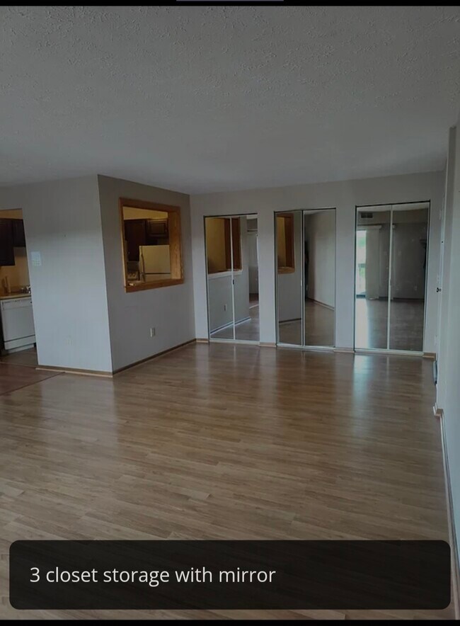 Living room with storage closet with mirror - 1201 Dutilh Rd