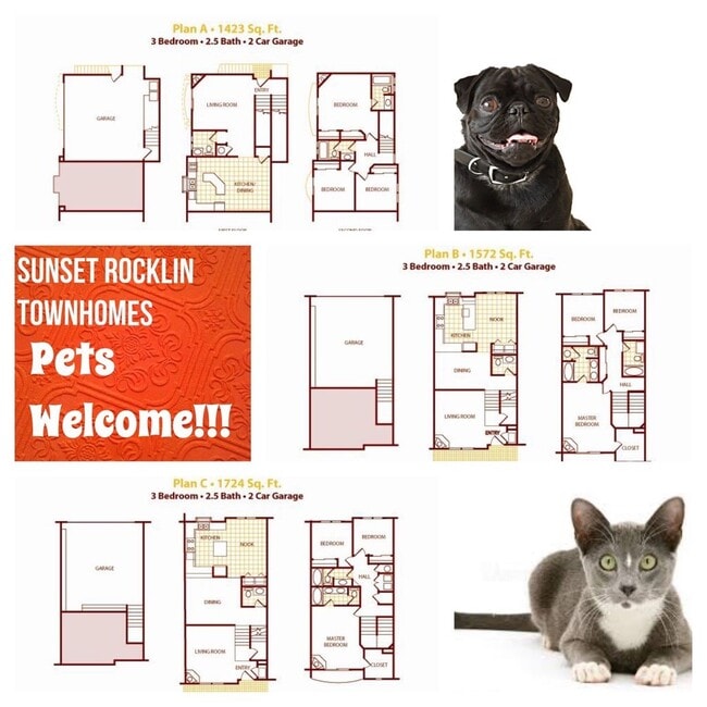 Interior Photo - Welcome to Sunset Rocklin Townhomes — Where Comfort Meets Style