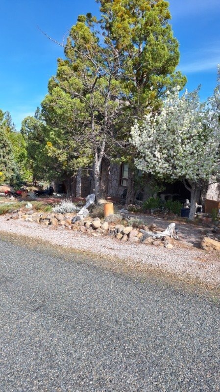 Building Photo - 5137 Hill Dr