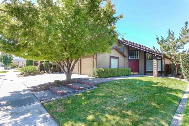Foto del edificio - Large 4BR 3BA Updated Home in Quiet Neighb...