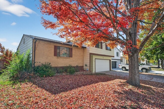 Building Photo - For Rent: Charming 4-Bedroom Tri-Level in ...