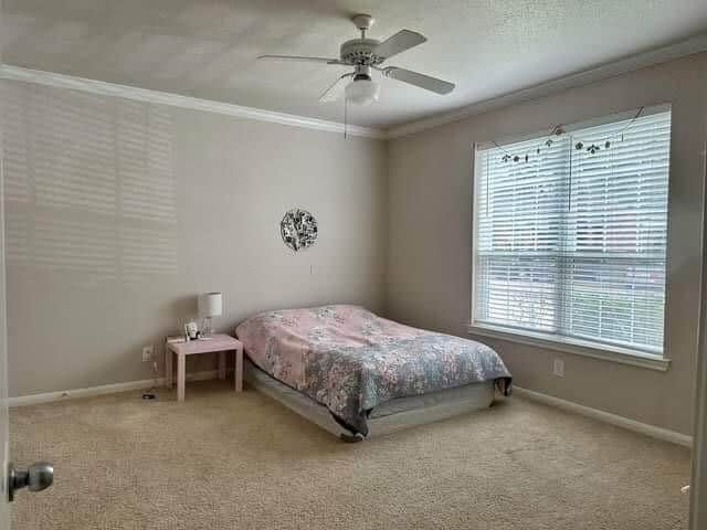 Foto del edificio - 2255 Braeswood Park Dr