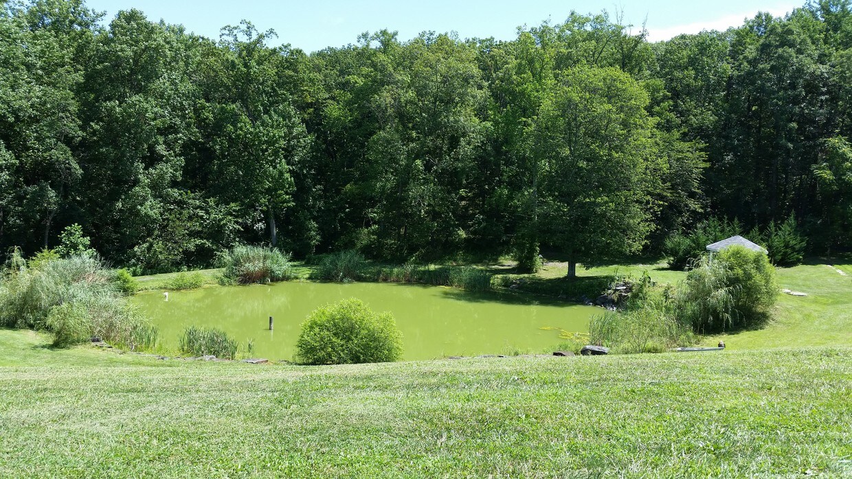 Primary Photo - 4200 Jim Bowers Rd