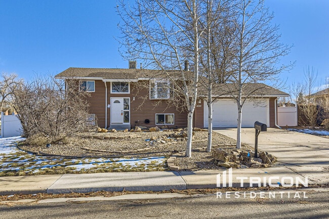 Building Photo - 13012 Lowell Ct