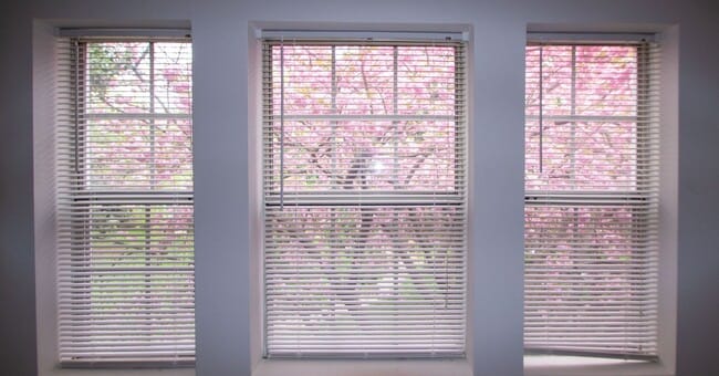 Photo - Simply Beautiful, Spacious 2 Bd/1Bth Condo on 50 acres of parklike setting w/ winding paths!