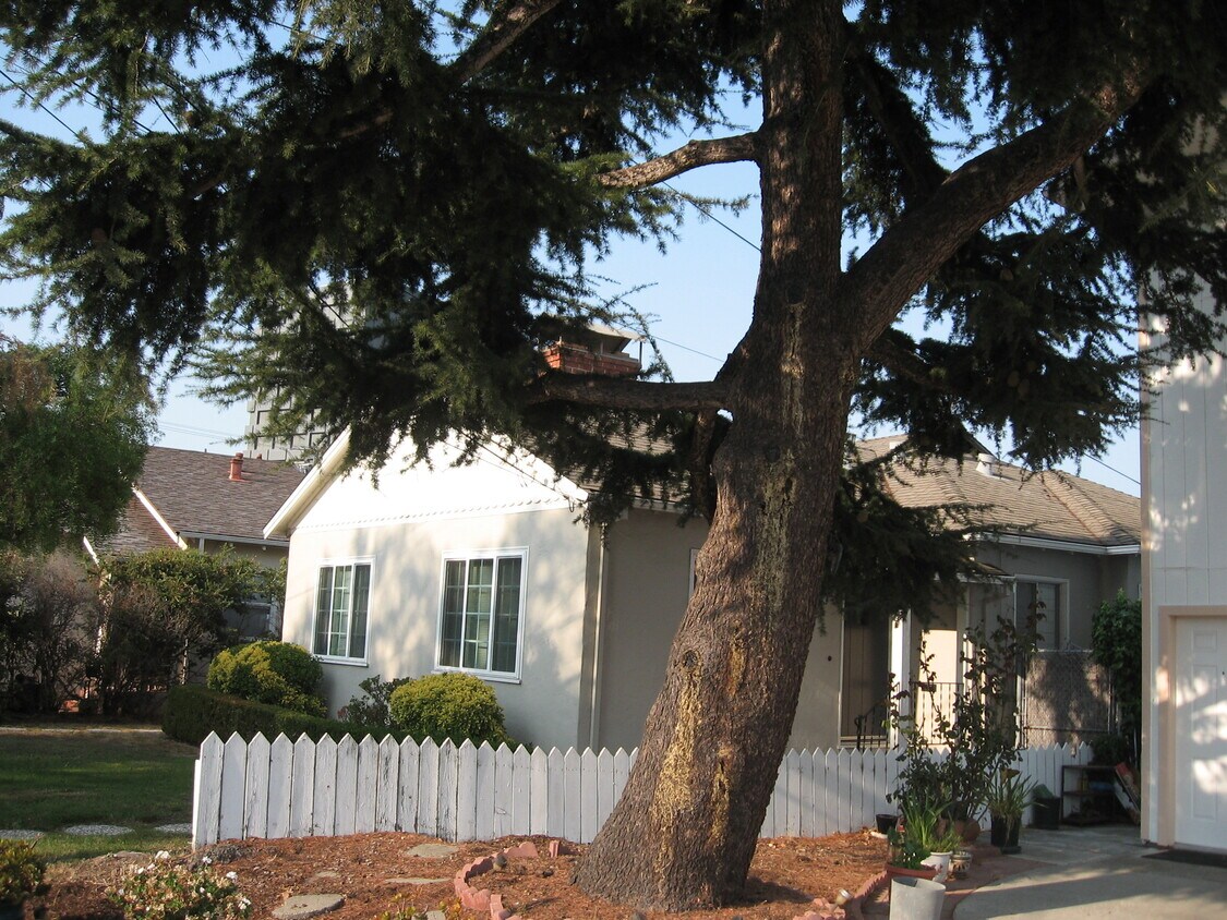 Front of Duplex - 2219 Flores St