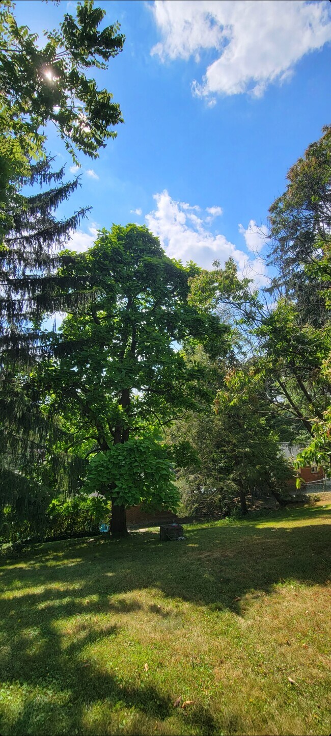 5433 Brightwood Rd, Bethel Park, PA 15102 House Rental in Bethel Park